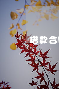 借款合同糾紛如何判刑(借款合同起訴)