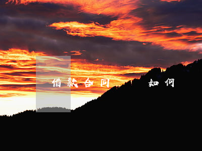 借款合同糾紛如何舉證訴訟(借款合同起訴狀)