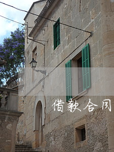 借款合同糾紛如何處理(借款合同起訴)