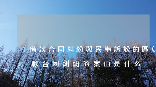 借款合同糾紛與民事訴訟的區(qū)別(借款合同糾紛的案由是什么)