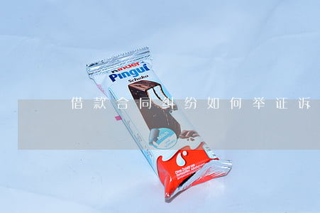 借款合同纠纷如何举证诉讼(借款合同起诉状)