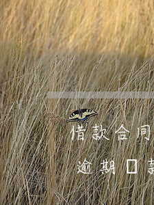 借款合同逾期還款合同解除權(quán)(逾期還款銀行解除合同)