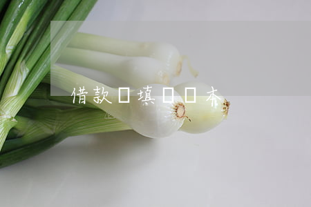 借款單填寫樣本