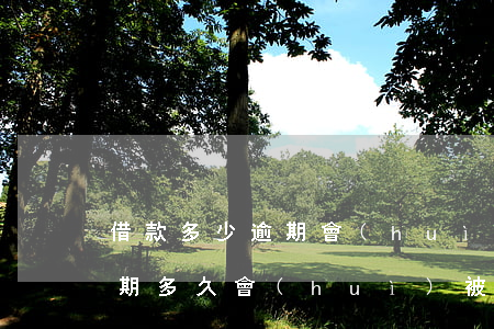 借款多少逾期會(huì)被起訴（暢借款逾期多久會(huì)被起訴）