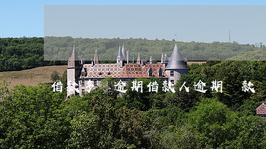 借款多項逾期(借款人逾期還款)