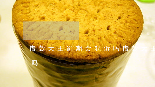 借款大王逾期会起诉吗(借款大王不还会起诉吗)