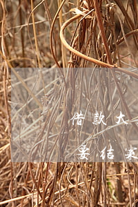 借款大王逾期多久会被起诉(借款大王逾期说要结案)
