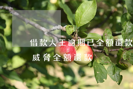 借款大王逾期已全額還款(借款大王逾期一天威脅全額還款)