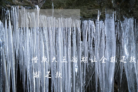借款大王逾期让全额还款(借款大王逾期让全额还款)