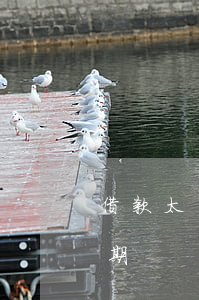 借款太多沒有逾期房貸嗎(借款過多但沒有逾期)