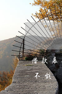 借款展期與逾期不予還款(貸款展期到期后仍不能歸還,還可以展期嗎)