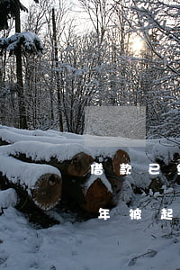 借款已经超过三年怎么起诉(民间借款超过三年被起诉)