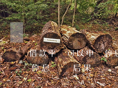 借款平臺可以申請停息掛賬嗎（云南借款逾期停息掛賬后果）