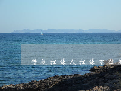 借款担保人担保有效期是多长时间