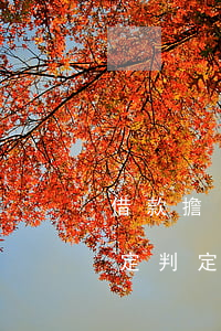借款擔(dān)保合同效力認(rèn)定判定規(guī)則有哪些