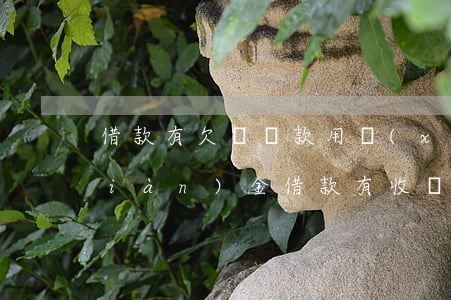 借款有欠條還款用現(xiàn)金(現(xiàn)金借款有收條)