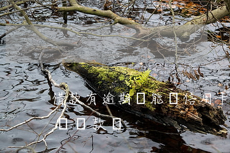 借款有逾期還能辦信用卡嗎(信用卡有逾期能辦貸款嗎)