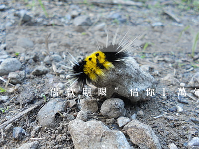 借款期限“借你1萬年”,能收回借款嗎?