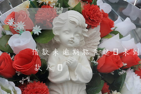 借款未逾期能否起訴(未到還款期限可起訴借款人嗎)