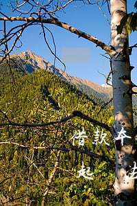 借款本金還清有逾期法院怎么判(貸款逾期被起訴,法院會判只還本金嗎)