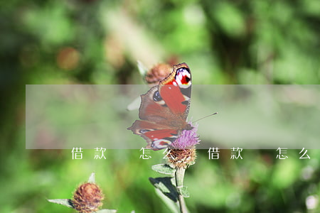 借款條怎么寫(借款條怎么寫才有法律效力)