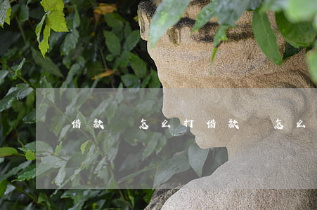 借款條怎么打(借款條怎么打條)