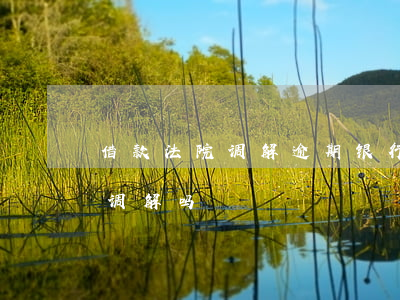 借款法院调解逾期(银行贷款逾期被起诉可以调解吗)