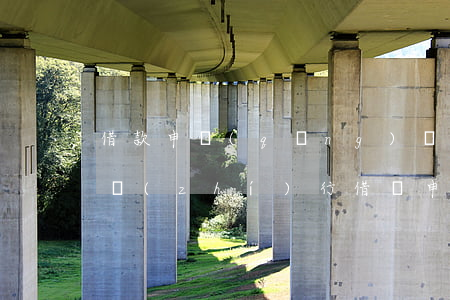 借款申請(qǐng)強(qiáng)制執(zhí)行（借錢申請(qǐng)法院強(qiáng)制執(zhí)行）