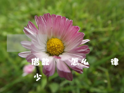 借款糾紛怎么選擇律師(借貸糾紛委托律師多少錢)