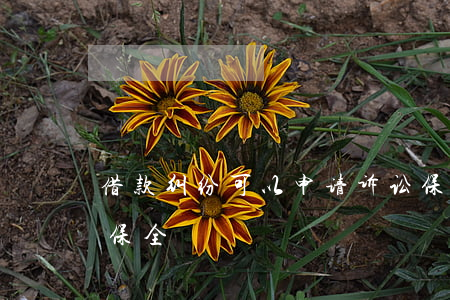 借款纠纷可以申请诉讼保全吗(起诉申请财产保全)
