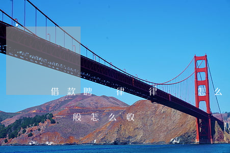 借款聘請律師律師費怎么收(民間借貸律師費一般怎么收費)