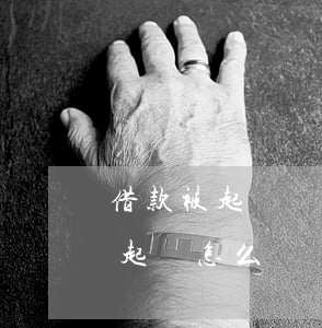 借款被起訴應(yīng)該怎么做(借錢被起訴怎么辦)