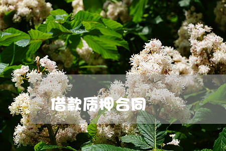 借款质押合同