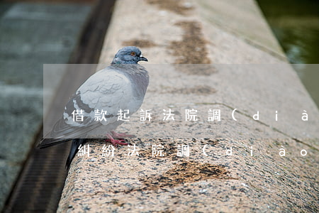 借款起訴法院調(diào)解程序（借錢起糾紛法院調(diào)解）