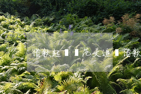 借款起訴狀范文(追還借款起訴狀范文)