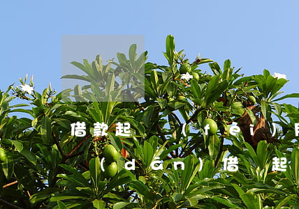 借款起訴費(fèi)用誰(shuí)承擔(dān)（借錢起訴費(fèi)誰(shuí)淘）