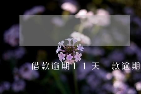 借款逾期11天(貸款逾期十幾天全部還了)