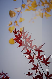 借款逾期1500嚴(yán)重嗎(小額貸1500逾期好幾年了)