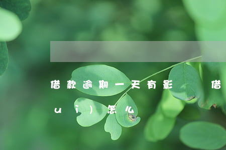 借款逾期一天有影響嗎(借款逾期一天會(huì)怎么樣)