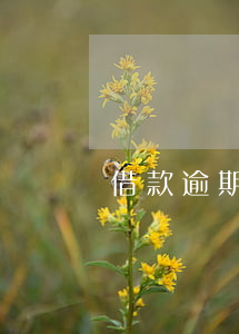 借款逾期一年被起诉-借贷逾期多少被起诉