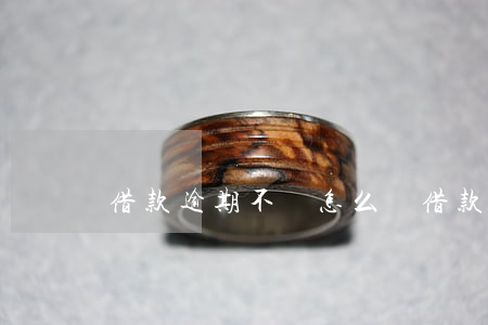 借款逾期不還怎么辦(借款逾期不還怎么辦?)
