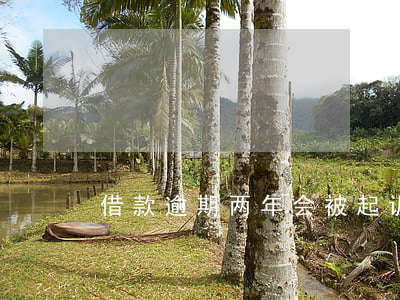 借款逾期两年会被起诉吗
