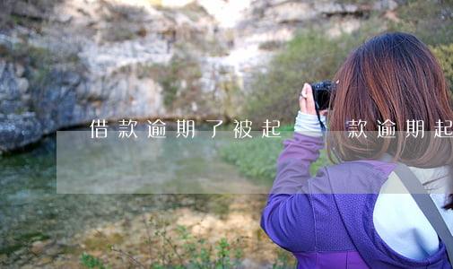 借款逾期了被起訴(貸款逾期 起訴)