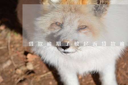 借款逾期了被起诉(贷款逾期 起诉)