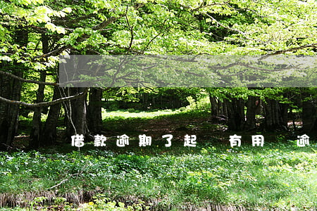 借款逾期了起訴有用嗎(逾期還款會被起訴嗎)