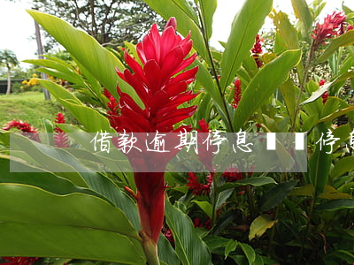 借款逾期停息掛賬(停息掛賬后逾期怎么辦)