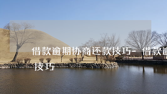 借款逾期协商还款技巧-借款逾期协商还款技巧