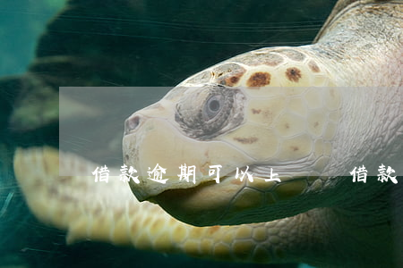 借款逾期可以上訴嗎(借款人逾期多久可以起訴)