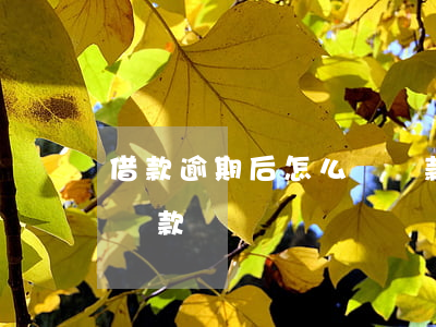 借款逾期后怎么樣還款(貸款逾期后如何正確還款)