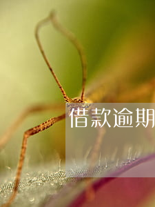 借款逾期后還款期限(借款到期后的逾期利息)